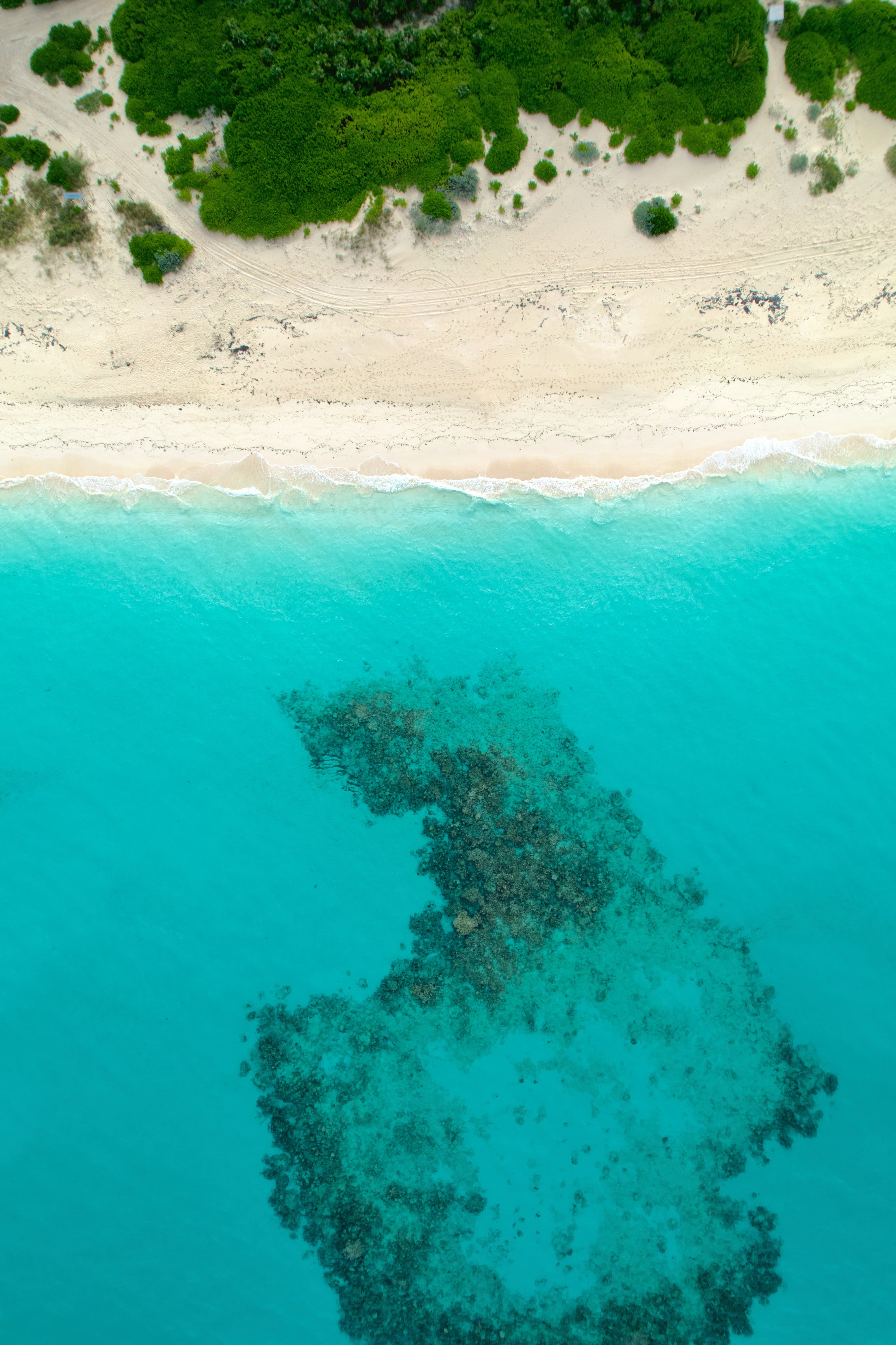 Turquoise water and white sand in the Bahamas