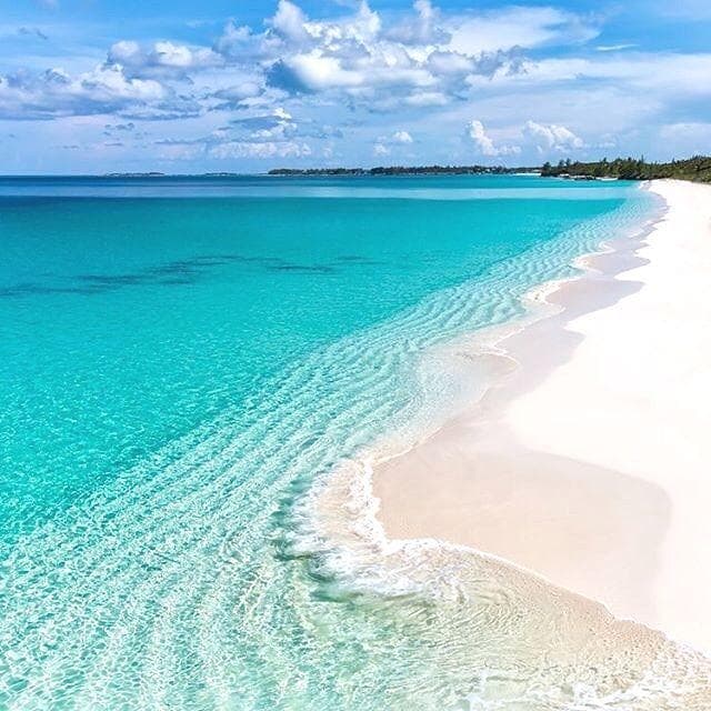 Escape to the Beach
