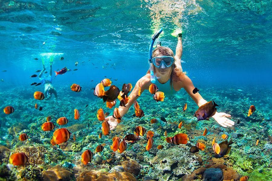 Snorkel & Dive