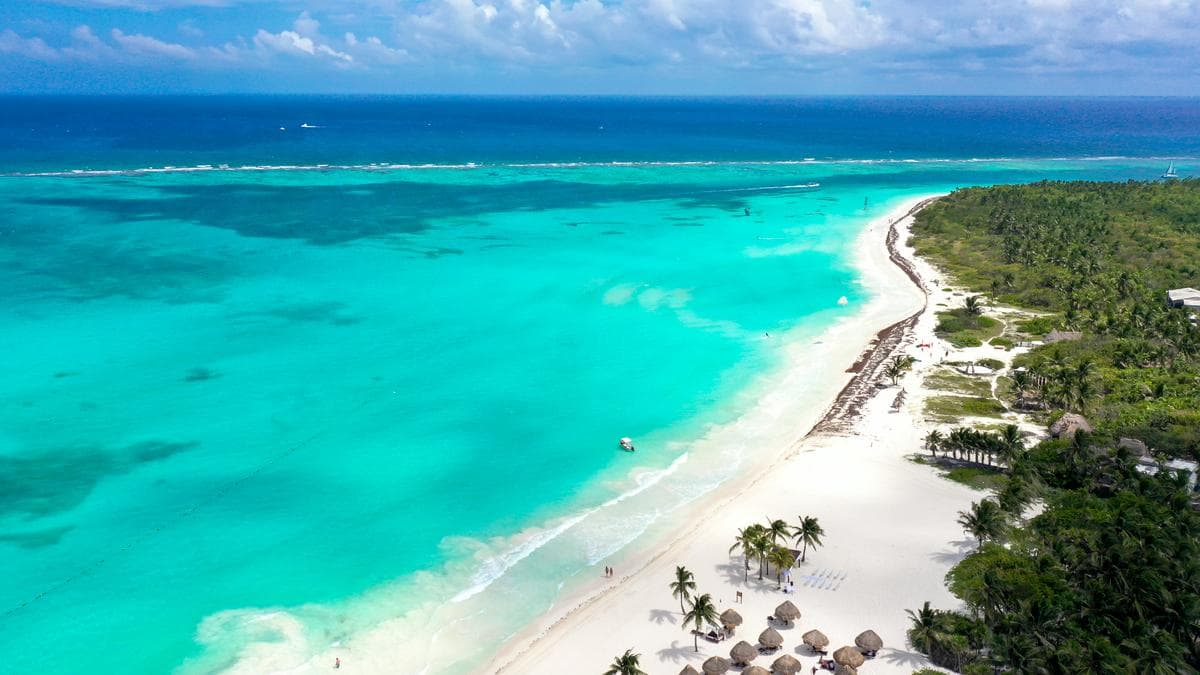 Tropical coastline in Mexico